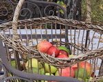 red-and-yellow-apples-as-home-decor-autumn3-s-4465088